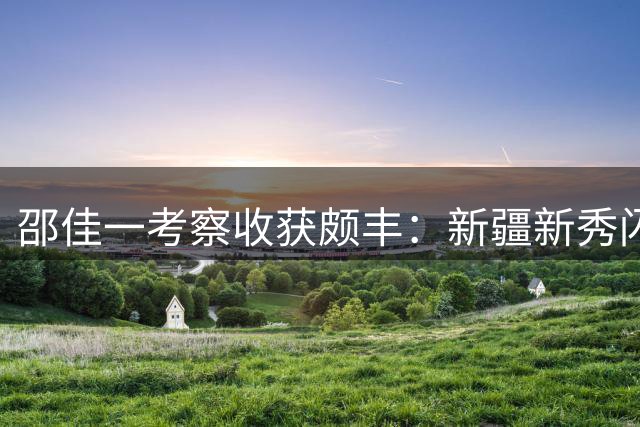 邵佳一考察收获颇丰：新疆新秀闪耀全场